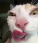 1787308319901.png