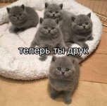 IMG_7698.jpeg
