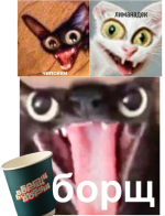 1792953321214.png