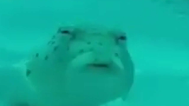 9316