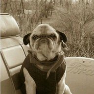 Сержант мопс